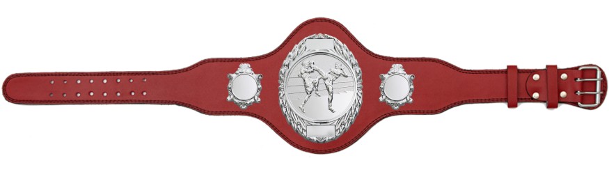 THAI BOXING TITLE BELT - PLT286/S/TBOS-4 COLOURS THAI BOXING TITLE BELT - PLT286/S/TBOS-4 COLOURS